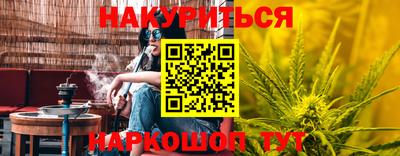 гашик Можга