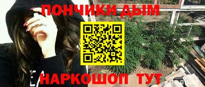 гашик Можга
